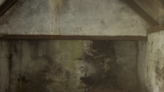 Rijksdienst voor het Cultureel Erfgoed