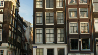 WikiMedia