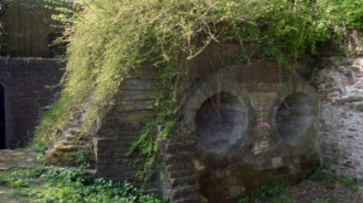 WikiMedia