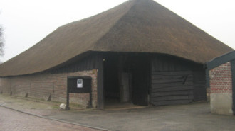 WikiMedia