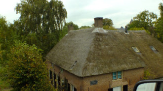 WikiMedia