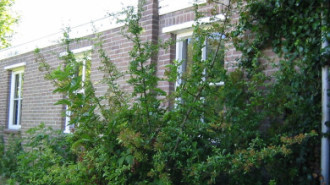 Rijksdienst voor het Cultureel Erfgoed: Terpstra, Frank