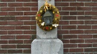 WikiMedia