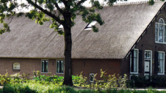 WikiMedia