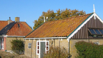 Rijksdienst voor het Cultureel Erfgoed: Terpstra, Frank