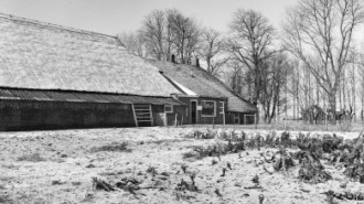 Rijksdienst voor het Cultureel Erfgoed: Wal, A.J. van der