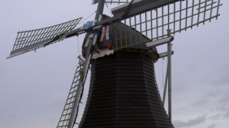 WikiMedia