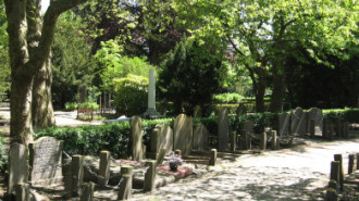 WikiMedia