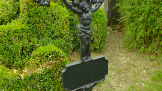 WikiMedia
