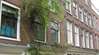 WikiMedia