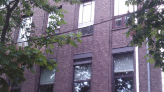 WikiMedia