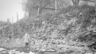 Rijksdienst voor het Cultureel Erfgoed