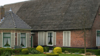 WikiMedia