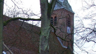WikiMedia