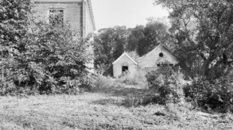 Rijksdienst voor het Cultureel Erfgoed: Wal, A.J. van der