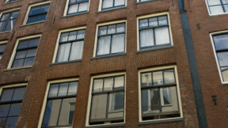 WikiMedia