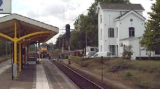 WikiMedia