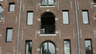 WikiMedia