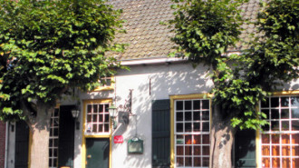 WikiMedia