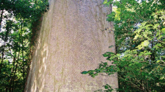 WikiMedia