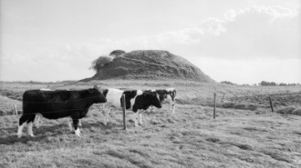 Rijksdienst voor het Cultureel Erfgoed: Dukker, G.J.