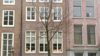 WikiMedia