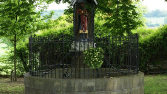 WikiMedia