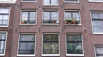 WikiMedia