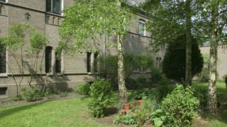 WikiMedia