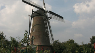 WikiMedia