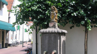 WikiMedia