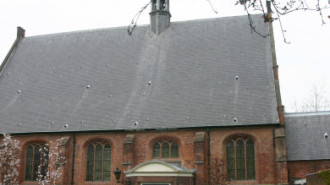WikiMedia