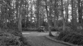 Rijksdienst voor het Cultureel Erfgoed