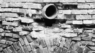 Rijksdienst voor het Cultureel Erfgoed: Dijkstra