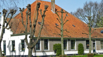 WikiMedia