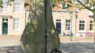 WikiMedia