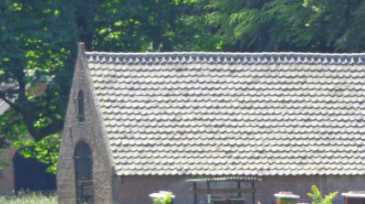 WikiMedia