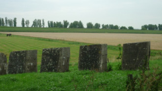 WikiMedia