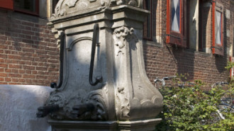 WikiMedia