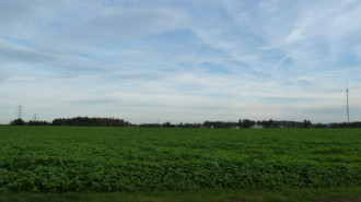 WikiMedia