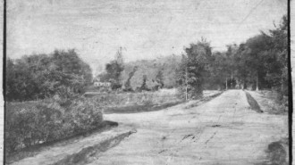 Rijksdienst voor het Cultureel Erfgoed: Schollen, A.H.C.