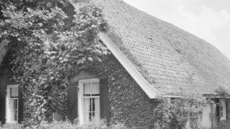 Rijksdienst voor het Cultureel Erfgoed: Delemarre, G.Th.