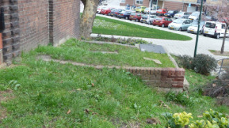 Rijksdienst voor het Cultureel Erfgoed: Bogers, Guido