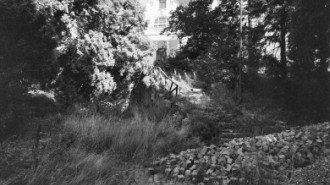 Rijksdienst voor het Cultureel Erfgoed: Koning, J.P. de