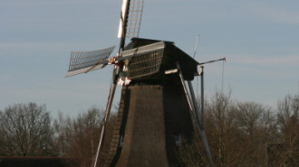 WikiMedia