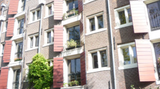 WikiMedia