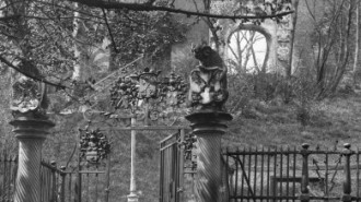 Rijksdienst voor het Cultureel Erfgoed