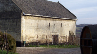 WikiMedia