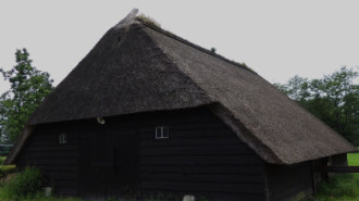 WikiMedia