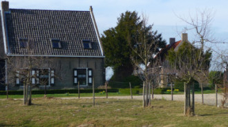 WikiMedia